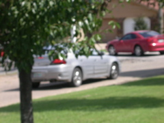 DSCN5997.JPG