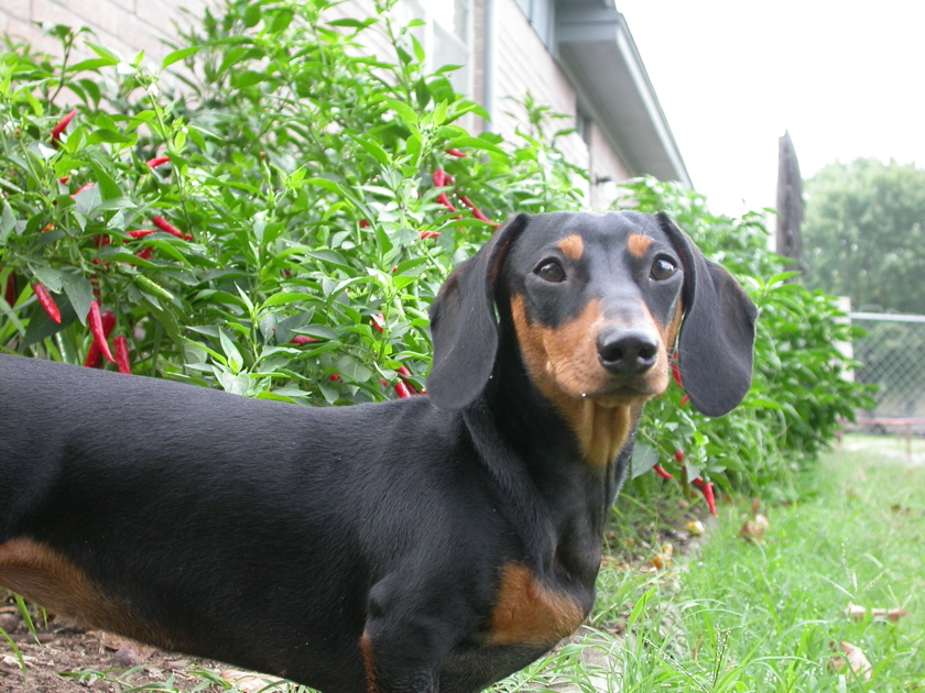 DSCN0705.JPG