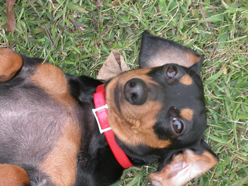 DSCN2821.JPG