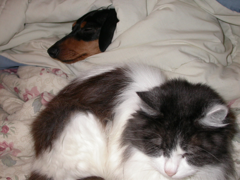 DSCN2872.JPG