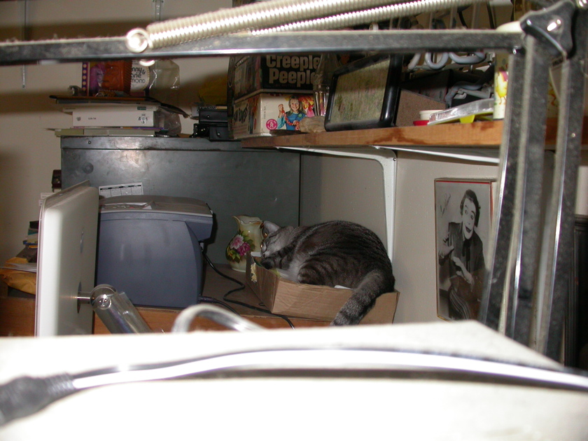 DSCN4260.JPG