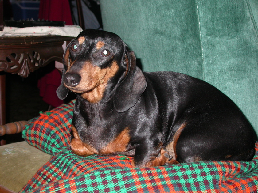 DSCN4265.JPG