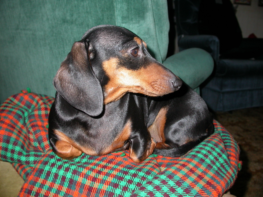 DSCN4274.JPG