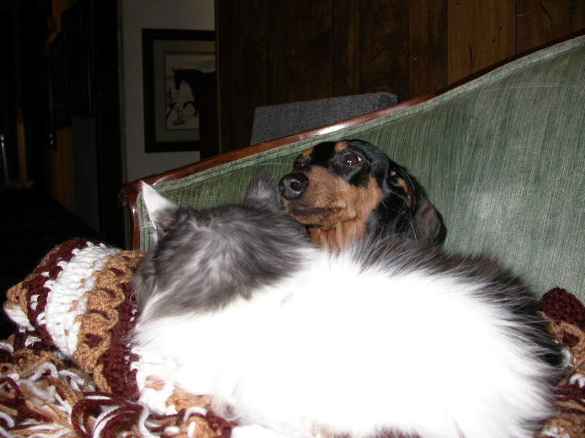 DSCN5204.JPG