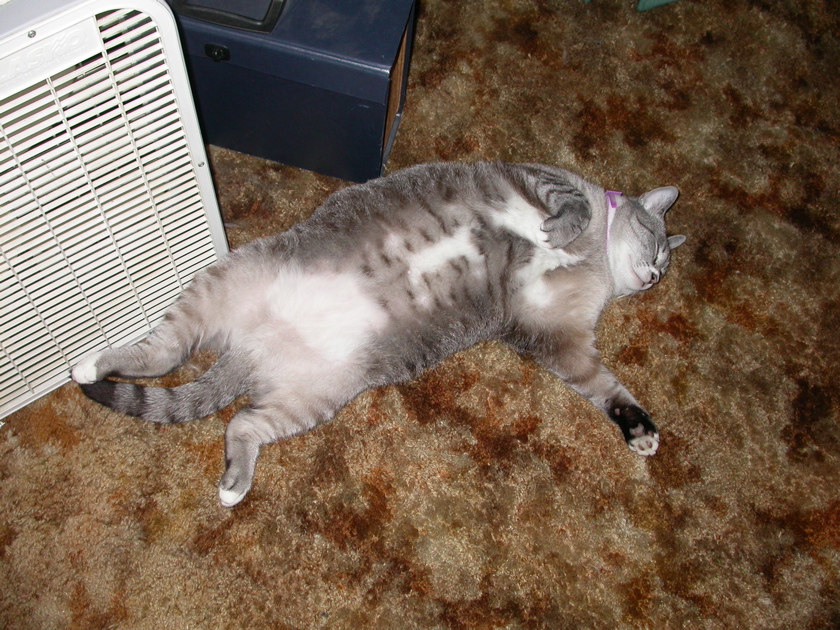 DSCN2467.JPG