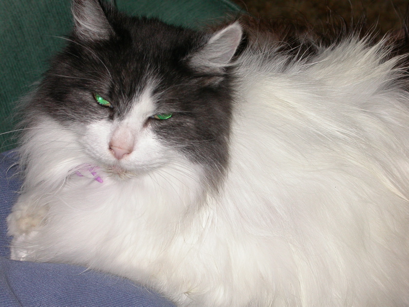 DSCN2468.JPG