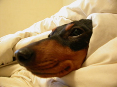 DSCN2867.JPG