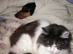 DSCN2872.JPG