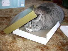 DSCN4137.JPG