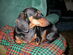 DSCN4274.JPG