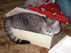 DSCN1882.JPG