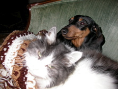 DSCN5205.JPG