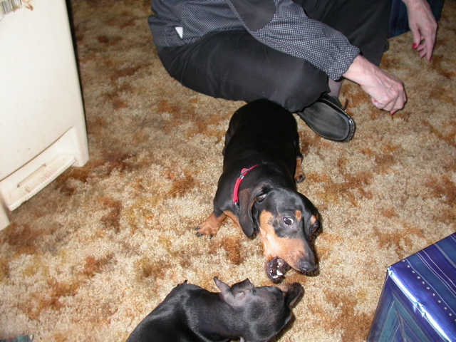 DSCN6239.JPG