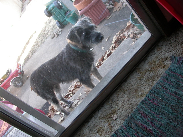 DSCN6242.JPG