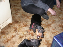 DSCN6239.JPG