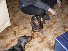 DSCN6240.JPG