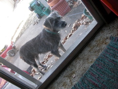 DSCN6242.JPG