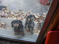 DSCN6285.JPG